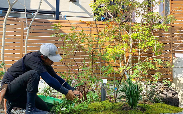 庭色（にわいろ）画像1