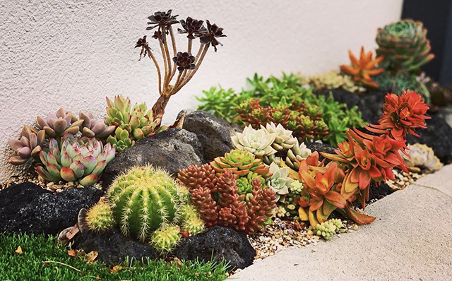 庭色（にわいろ）画像2